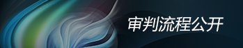 审判流程