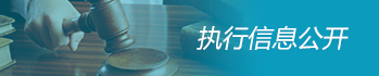执行信息